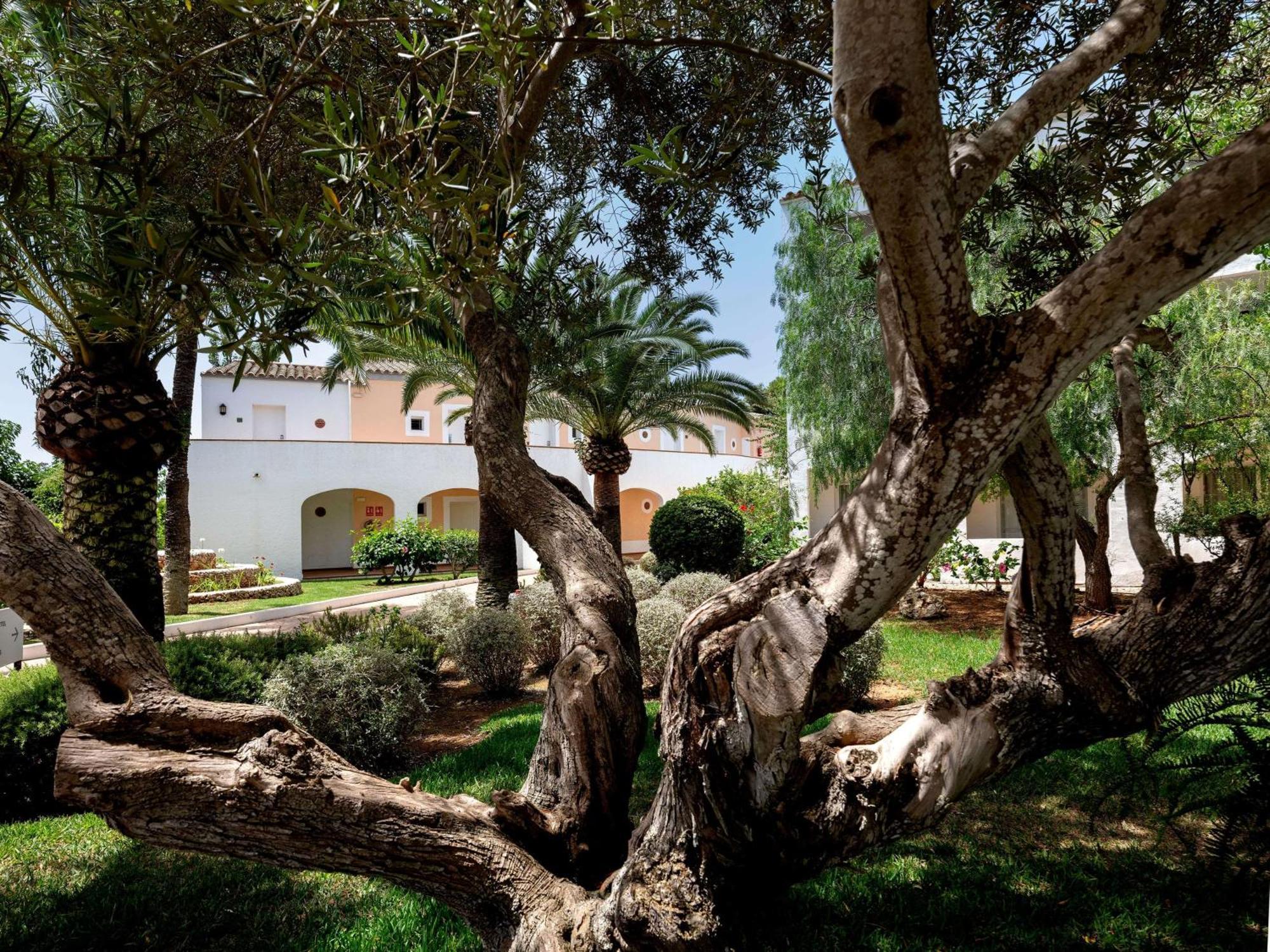 Sol Falco Menorca Son Xoriguer Bagian luar foto